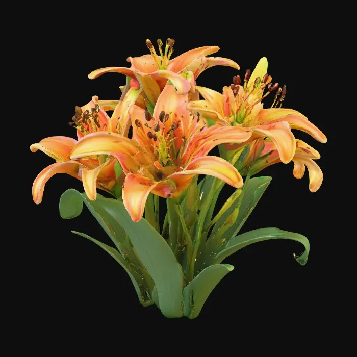 3D model for Bouquet of beautiful colorful tiger lilies suitable for 3d printing model
