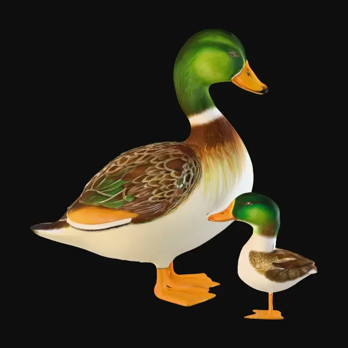 3D model for Mother Duck and Duckling