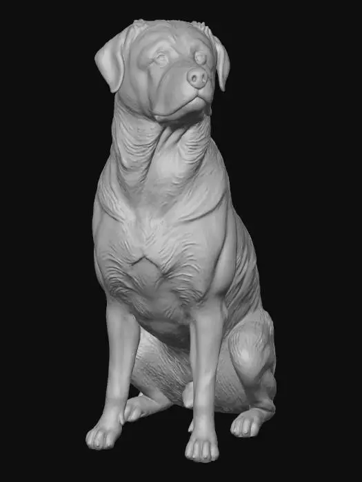 3D model for Majestic Rottweiler