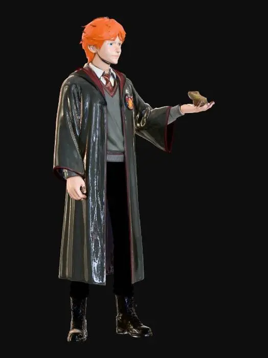 3D model for Wizard with a Toad