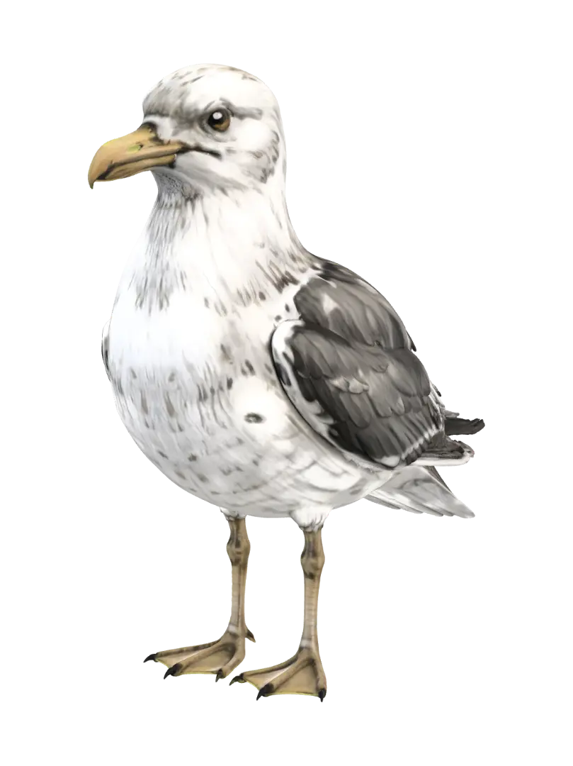 Harbor Gull - Stormy 3D model, vytvořený pomocí AI