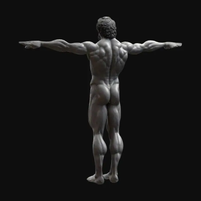 3D model for Hercules, greek god, T Pose, Staute, realistic
