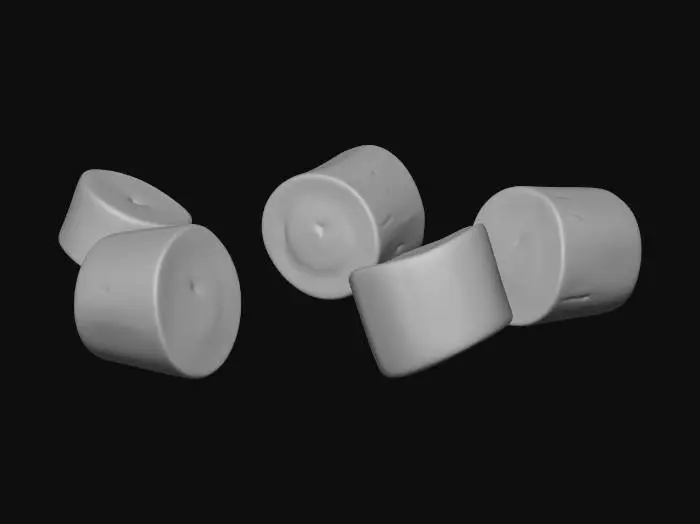 3D model for Leek Slices