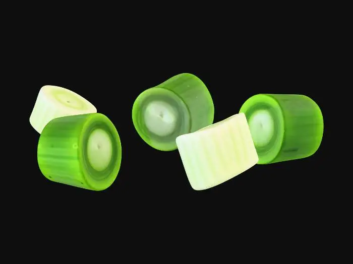 3D model for Leek Slices