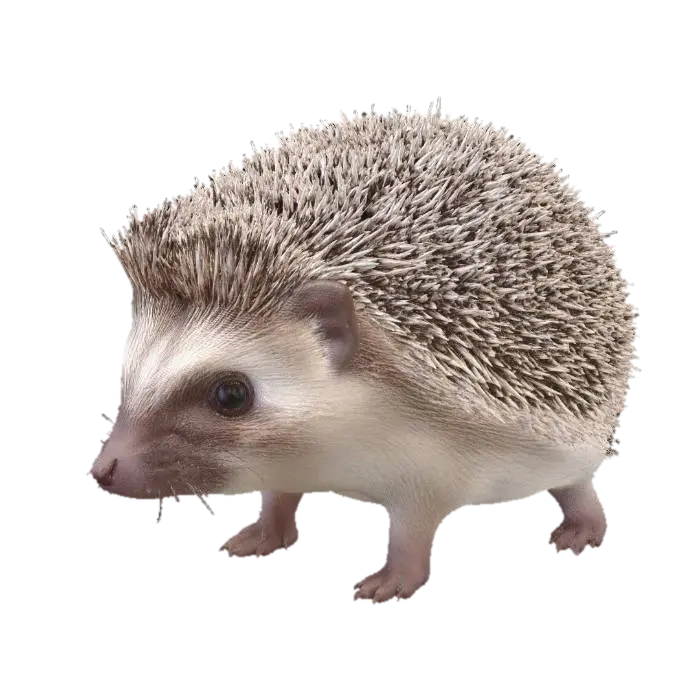 Hedgehog 3D model, vytvořený pomocí AI