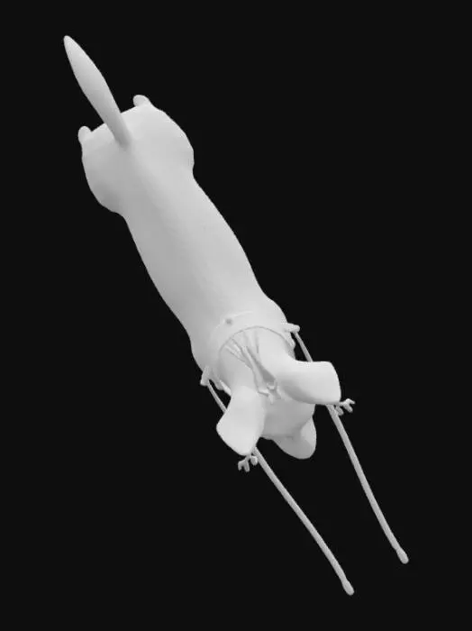 3D model for Schnauzer Pup in Spring Grass