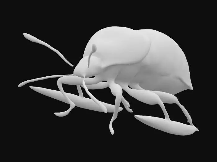 3D model for Micro Explorations