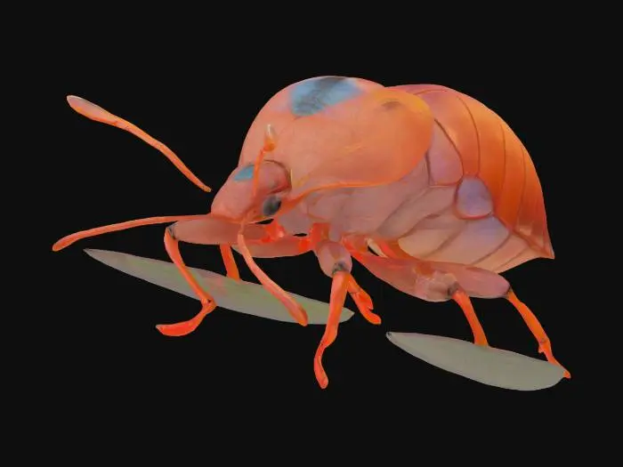 3D model for Micro Explorations