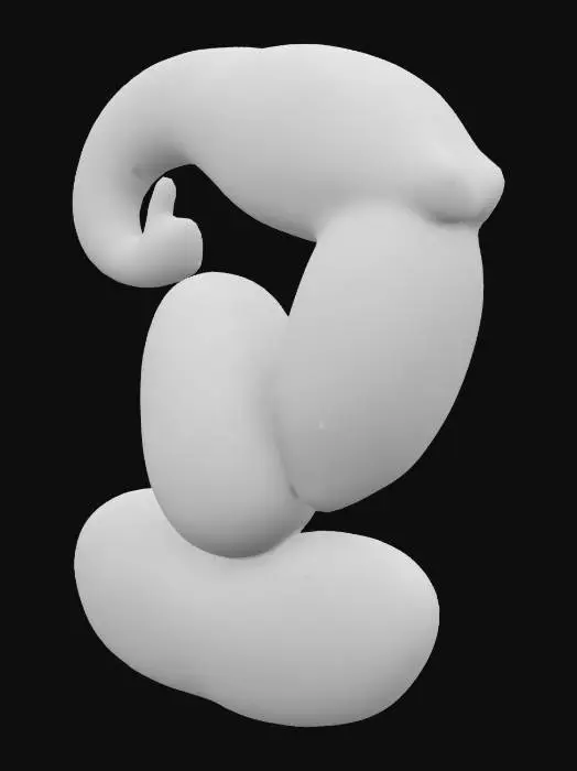 3D model for Human tail