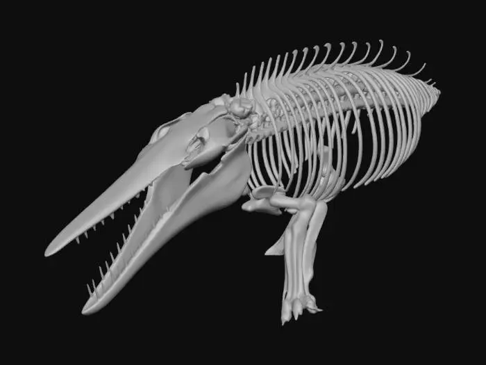 3D model for Bridge constructed from giant whale skeleton reinforced with metal plates, biomechanical architecture, cables threaded through bones, subtle bioluminescence along spine, abyssal ruins aesthetic, dark underwater atmosphere, PBR bone texture, corrosion and wetness