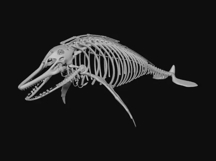 3D model for Bridge constructed from giant whale skeleton reinforced with metal plates, biomechanical architecture, cables threaded through bones, subtle bioluminescence along spine, abyssal ruins aesthetic, dark underwater atmosphere, PBR bone texture, corrosion and wetness