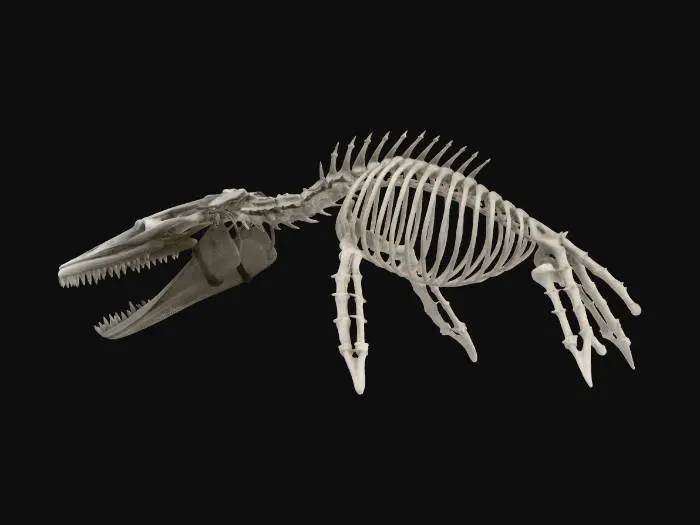 3D model for Bridge constructed from giant whale skeleton reinforced with metal plates, biomechanical architecture, cables threaded through bones, subtle bioluminescence along spine, abyssal ruins aesthetic, dark underwater atmosphere, PBR bone texture, corrosion and wetness