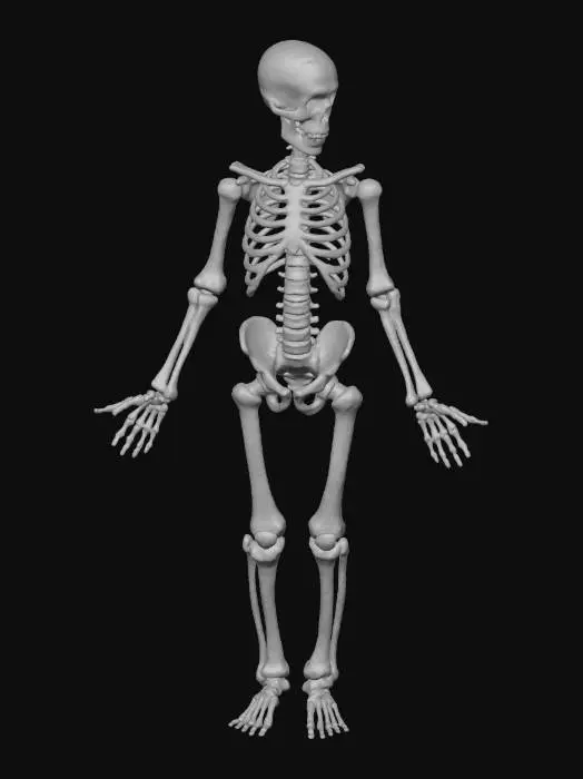 3D model for Humanoids whose arms end in jagged bone shards instead of hands. Their bodies are partially covered in cracked bone armor plates.