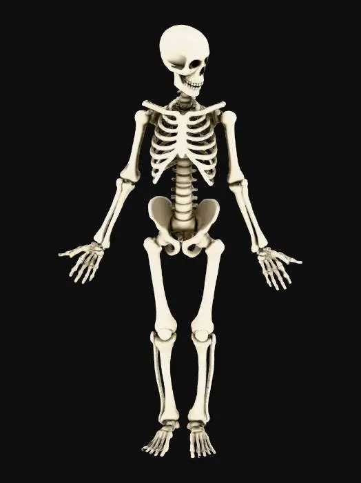 3D model for Humanoids whose arms end in jagged bone shards instead of hands. Their bodies are partially covered in cracked bone armor plates.