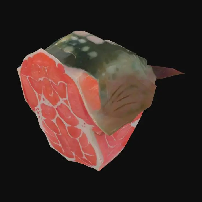 3D model for Salmon Slice