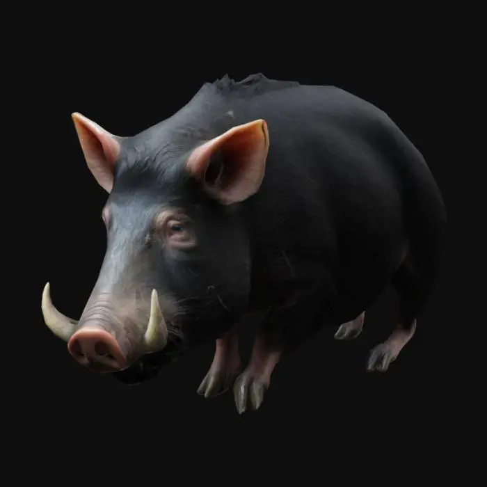 3D model for Red river hog, realistic