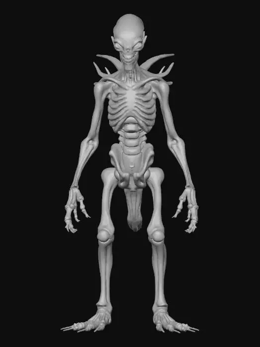 3D model for terrifying alien creature crawling on twisted elongated limbs, thin skeletal frame covered in leathery pale skin, spine and ribs visible, head slightly wrong proportions with sunken eye sockets glowing faintly, realistic horror creature design, detailed skin pores and veins, unsettling posture, cinematic moody lighting, hyper realistic detailed 3d creature sculpt, creepy atmosphere