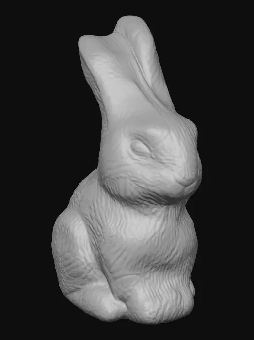 3D model for bunny