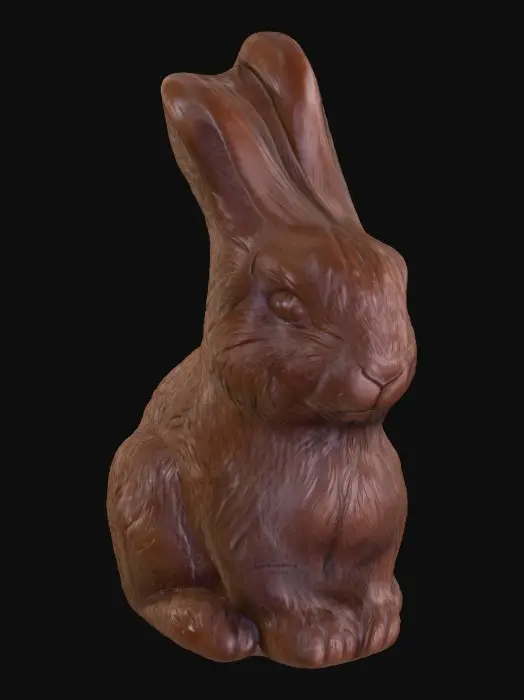3D model for bunny