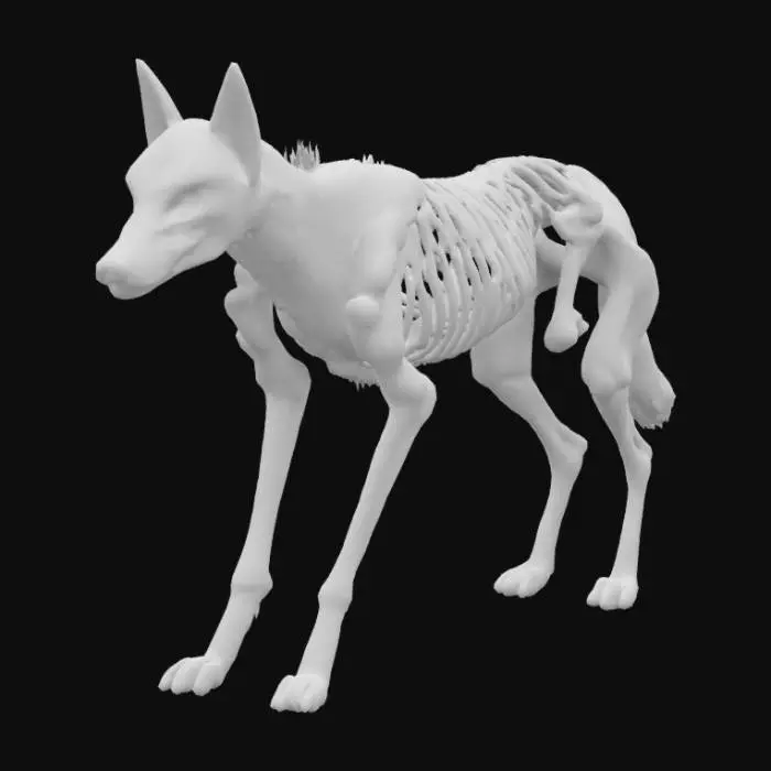 3D model for a 3d model of a wolf with an exposed rib cage witch ancient looking bones, glowing blue symbols, and a skeletal tale.