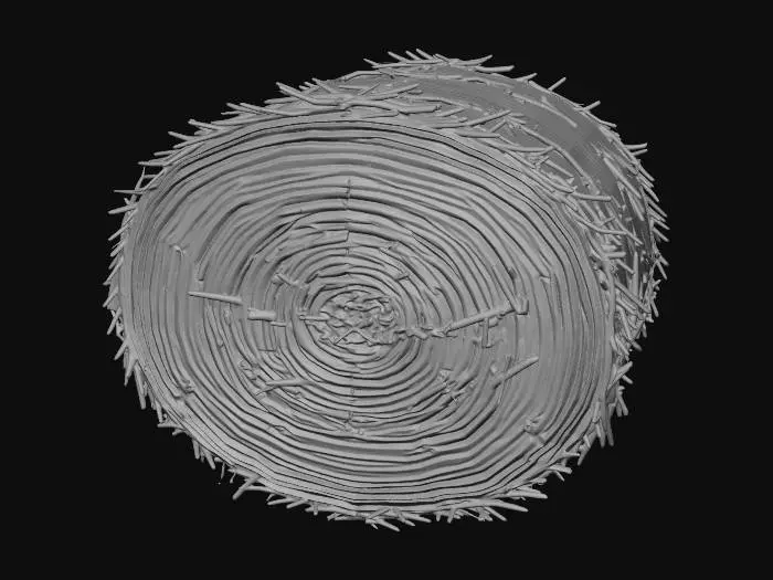 3D model for Cylindrical straw bale
