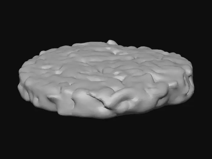 3D model for Patty Perfection