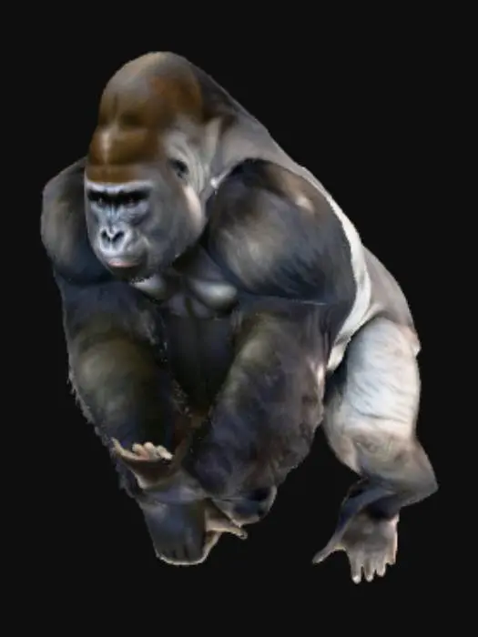 3D model for Gorilla in the Wild