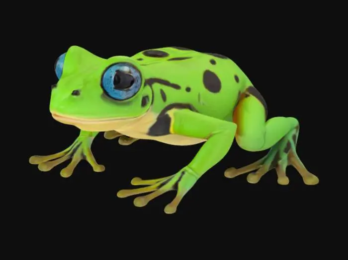 3D model for poisonous Serbian frog/toad