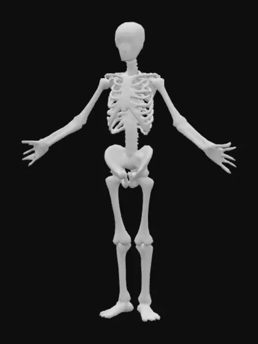 3D model for Una creatura umanoide scheletrica e slanciata, dal corpo emaciato e angolare, con una pelle opaca e scura, quasi come pietra levigata dal tempo. Ha una postura ricurva e arti sproporzionatamente lunghi e sottili che terminano in piedi piatti. La testa rettangolare presenta una mascella inferiore prominente e una bocca spalancata che rivela una fila di denti bianchi, affilati e irregolari. Sul torace sono visibili dettagli che suggeriscono costole esposte, con una colorazione più chiara, quasi ossea. La superficie è liscia ma con una leggera rugosità, priva di texture pixelata. Gli occhi sono piccoli fessure rettangolari di un bianco inquietante