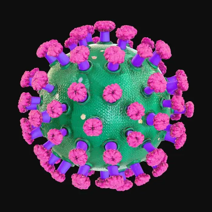 3D model for Микроскопический вирус с икосаэдрическим капсидом, имеющим гладкую, слегка глянцевую поверхность насыщенного **темно-зеленого** цвета. От его структуры во все стороны выступают острые, шипастые гликопротеиновые отростки, окрашенные в яркий **фиолетовый** цвет, с тонкой, шероховатой текстурой. Внутри просвечивает более плотное ядро. Общая форма кажется одновременно прочной и колючей, создавая ощущение холодной, но сложной биологической угрозы, с контрастом между гладкой оболочкой и зазубренными шипами.