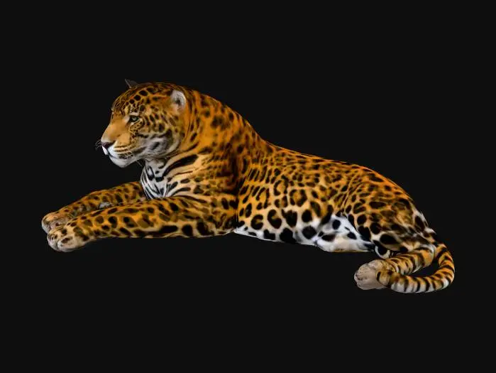 3D model for Jaguar Serenity