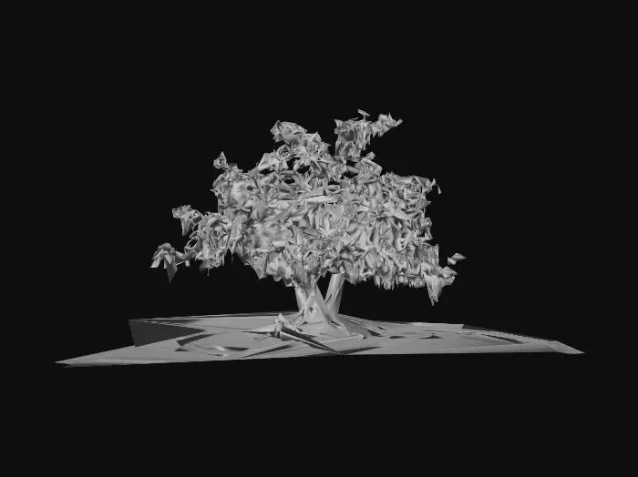 3D model for Solitary Serenity