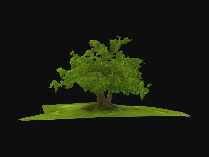 3D model for Solitary Serenity