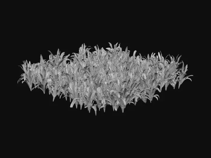 3D model for Harvest Horizon