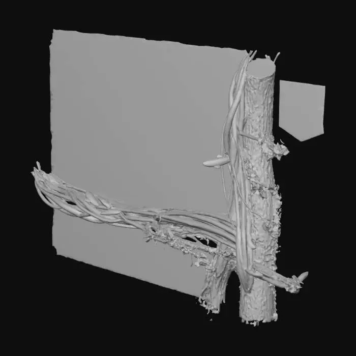 3D model for Natural branches and leaves