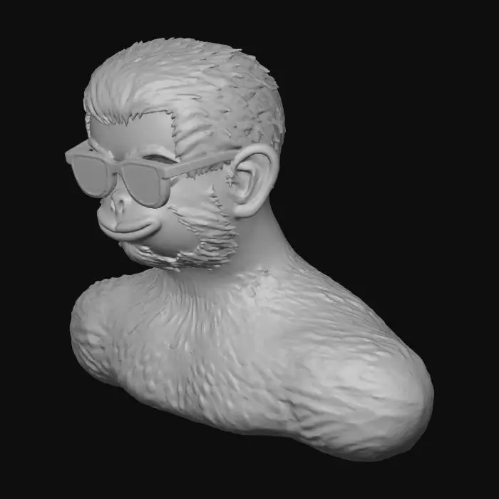 3D model for Cool Monkey Vibes