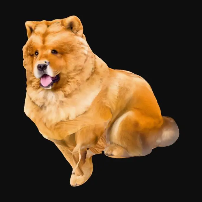 3D model for Lionhearted Pup