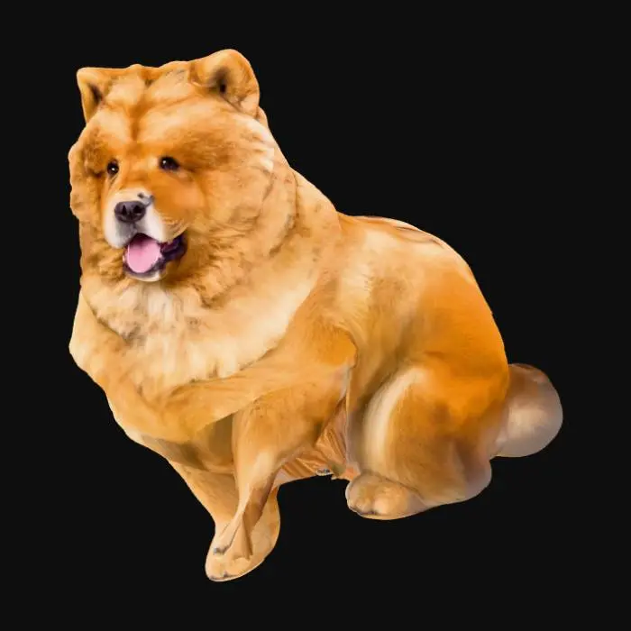 3D model for Lionhearted Pup