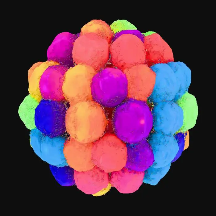 3D model for Stress Toy