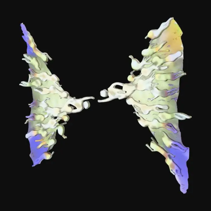 3D model for Unity of Diversity