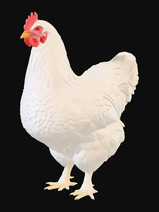 3D model for Snow White Hen