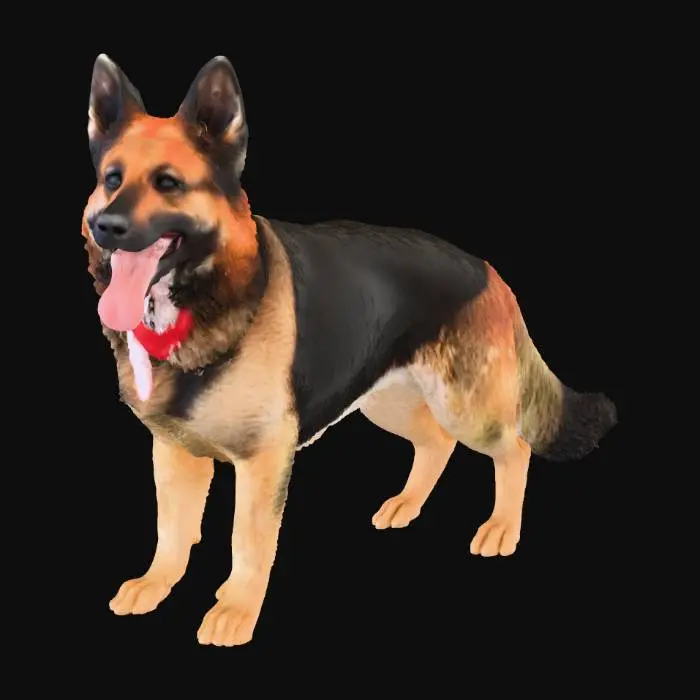 3D model for Joyful German Shepherd