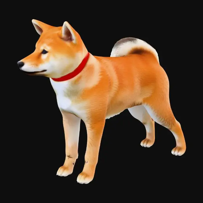 3D model for dog