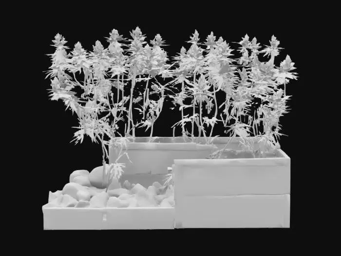 3D model for a glowing and sparkling, marijuana/cannabis, patio-garden. 3-feet wide, 10-feet long. #garden#