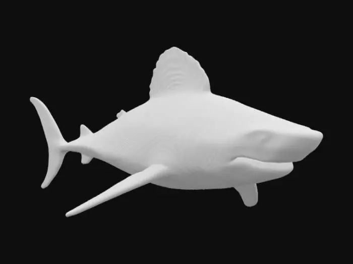 3D model for life-size, 10-meter long, Hyper-realistic animal presentation, renaissance style, megalodon shark with meticulously detailed mane, warm and varied tones, noble and wise eyes, rich and elegant  #warm tone#, #2025#