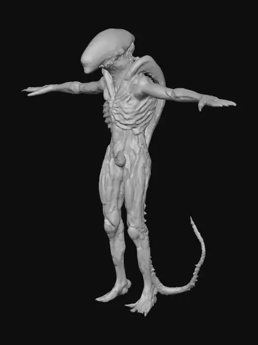 3D model for Alien xenomorph.