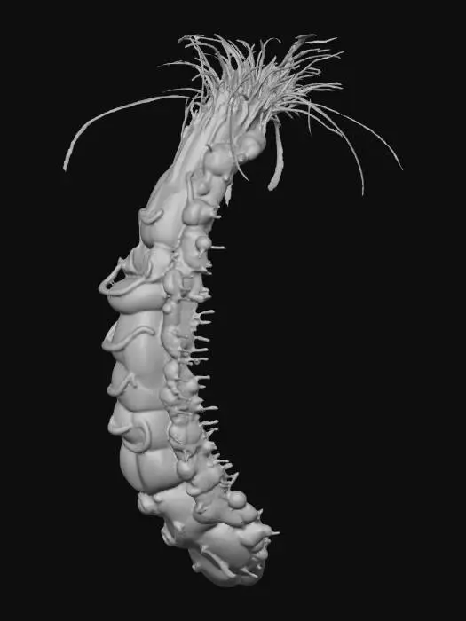 3D model for Surreal Caterpillar Sculpture
