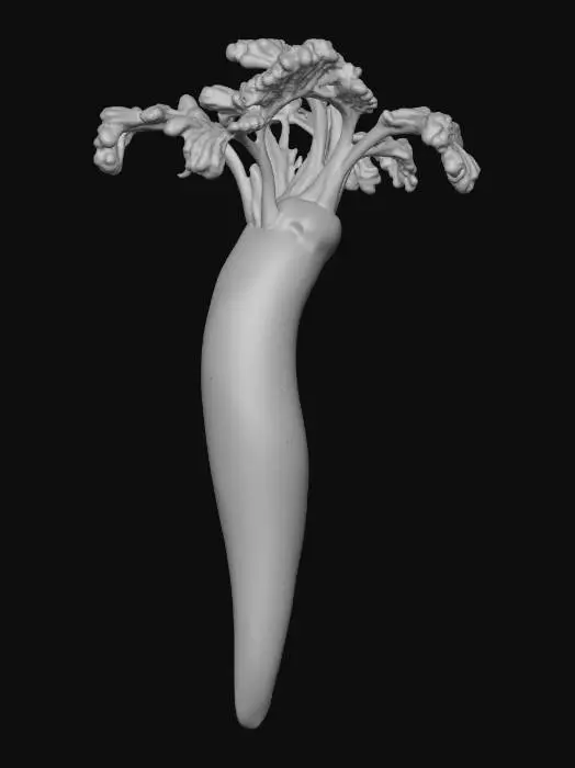 3D model for a long bent carrot, made of blown glass. 8K