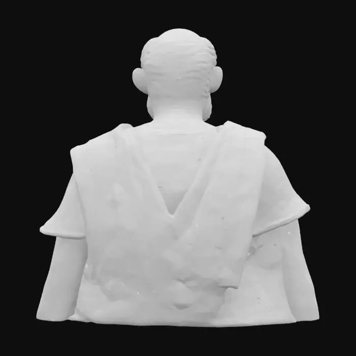 3D model for Elderly Sage