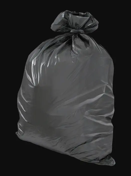3D model for Bagged Waste